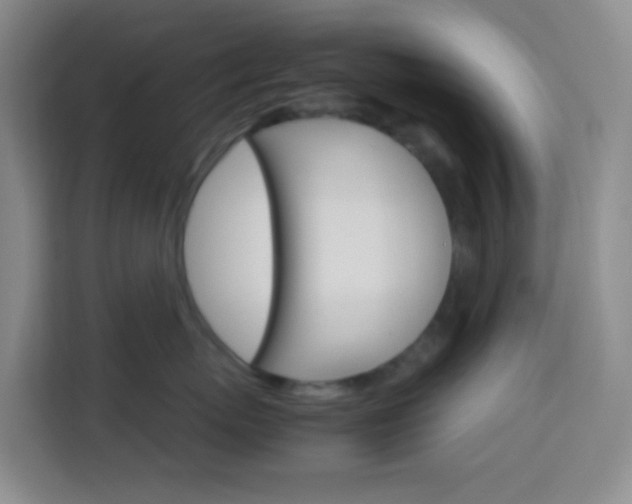 X0000114060767200910050955