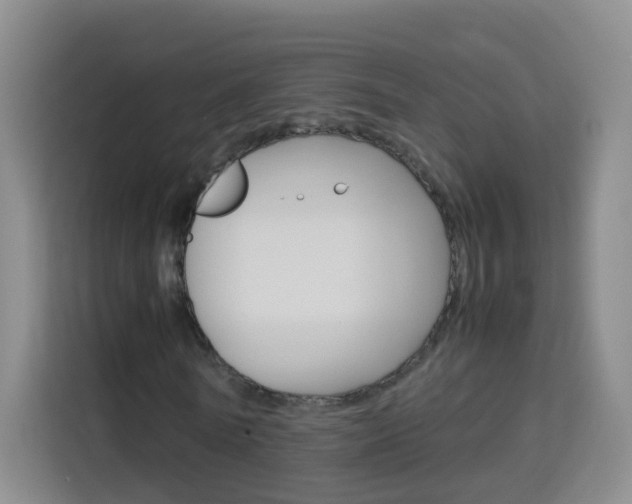 X0000114060770200910050955