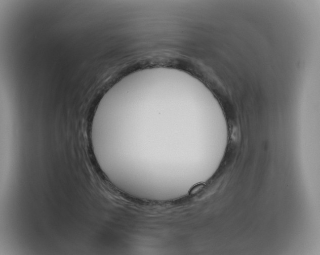X0000114060771200910050955