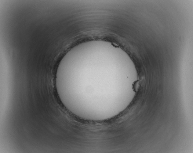 X0000114060772200910050955