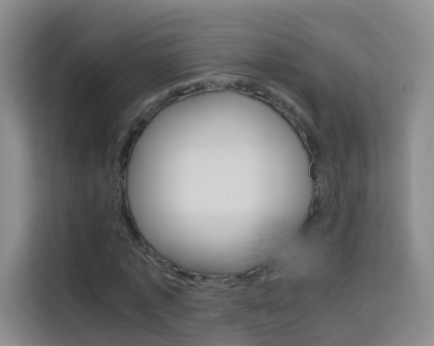 X0000114060773200910050955