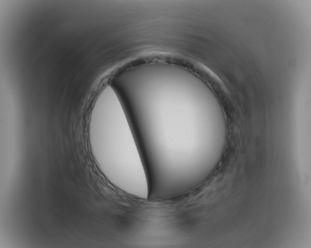 X0000114060775200910050955
