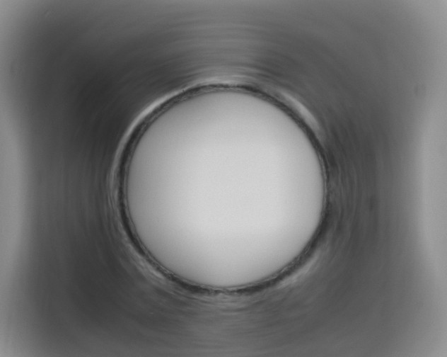 X0000114060779200910050954