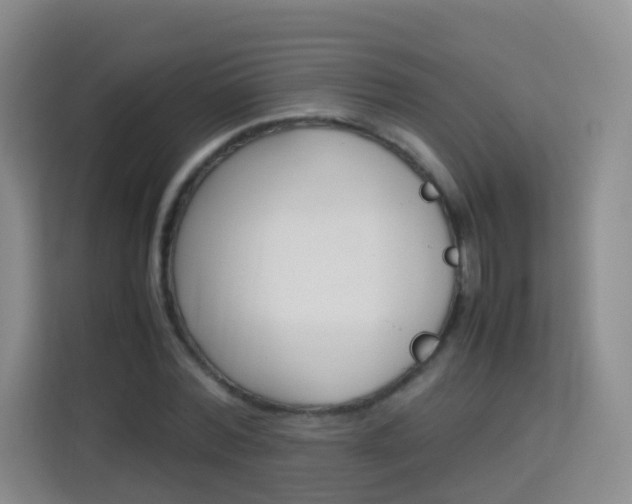 X0000114060780200910050954