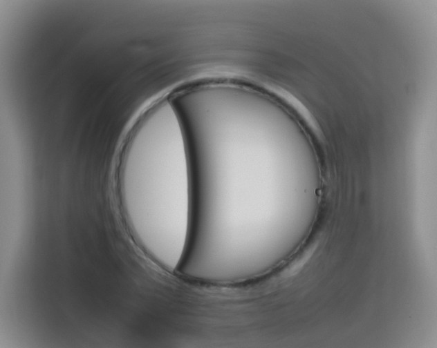 X0000114060783200910050954