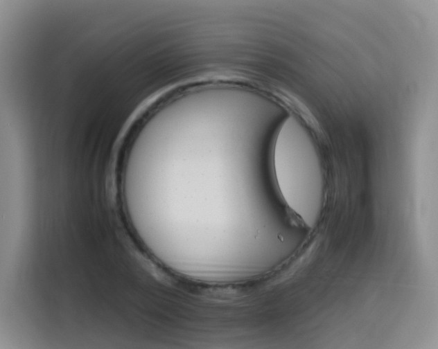 X0000114060784200910050954