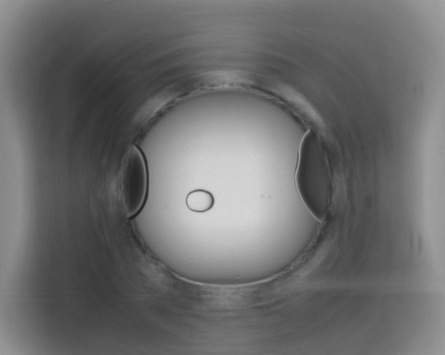 X0000114060785200910050954