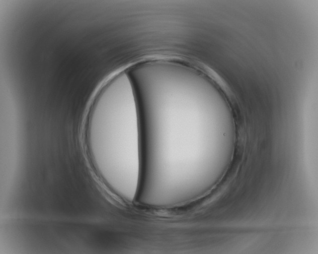 X0000114060787200910050954