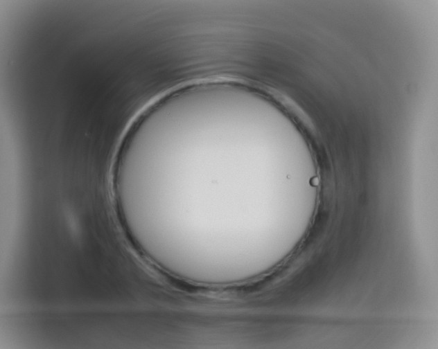 X0000114060789200910050954