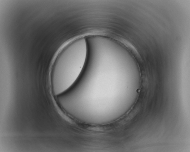 X0000114060792200910050954