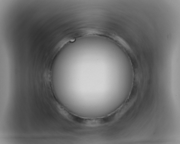 X0000114060793200910050954