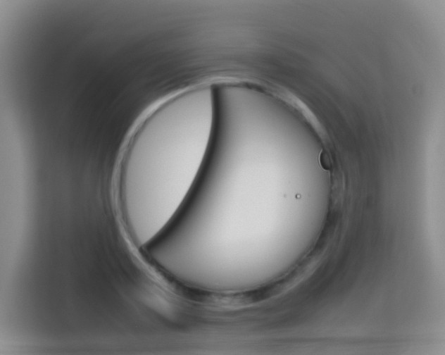 X0000114060795200910050954