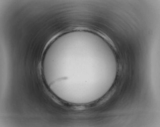 X0000114060798200910050954