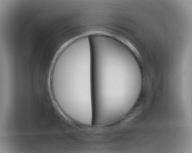 X0000114060799200910050954