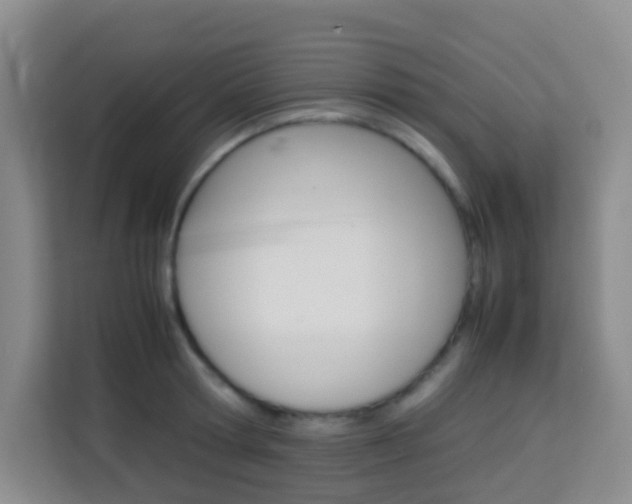 X0000114060802200910050954