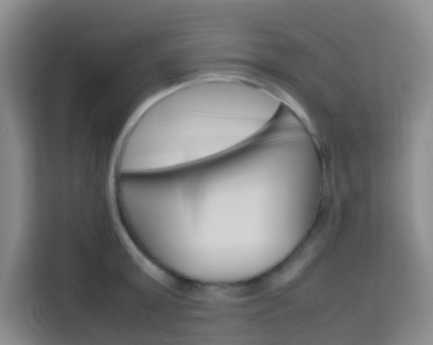 X0000114060803200910050954