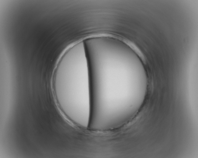 X0000114060805200910050954