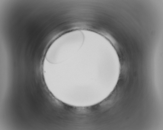 X0000114060807200910050954