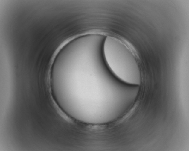 X0000114060808200910050954