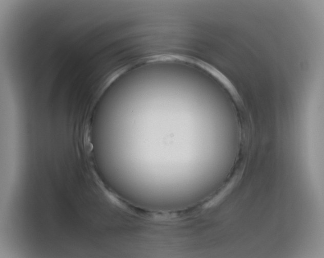 X0000114060809200910050954