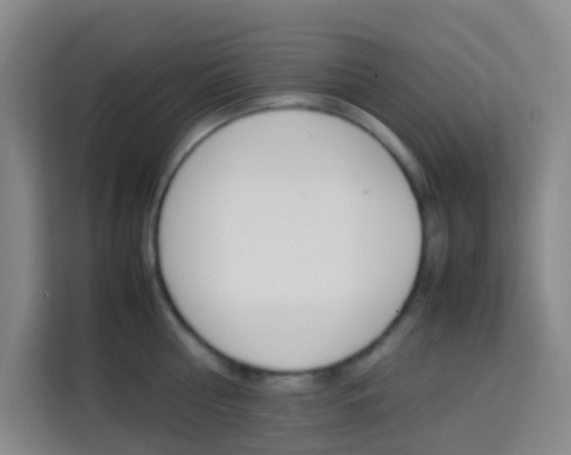 X0000114060810200910050954