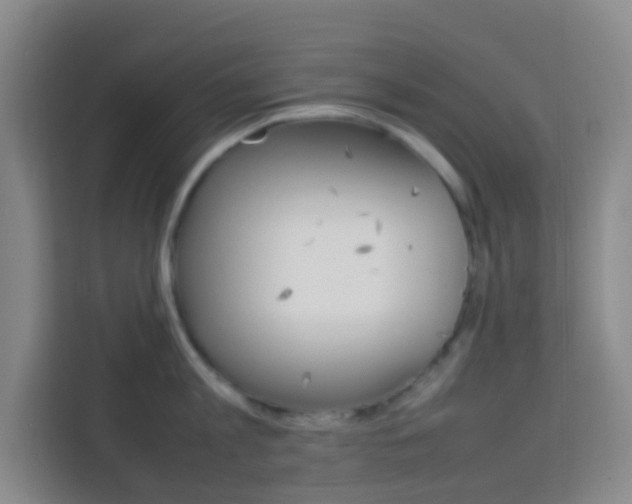 X0000114060813200910050954