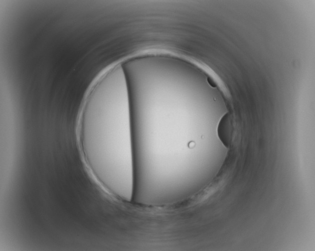 X0000114060815200910050954