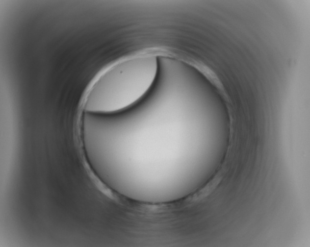X0000114060816200910050954