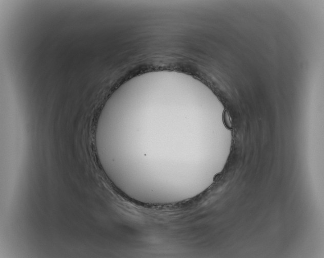 X0000114060817200910050953