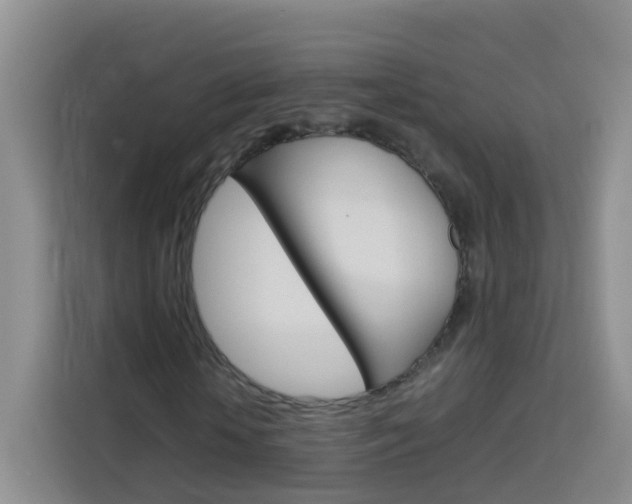 X0000114060818200910050953