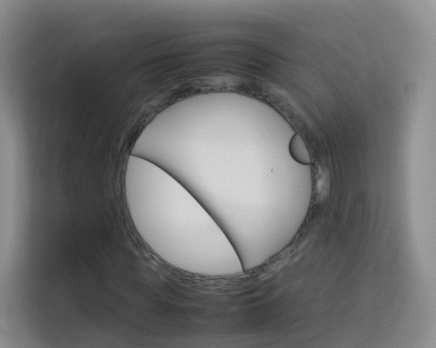 X0000114060819200910050953