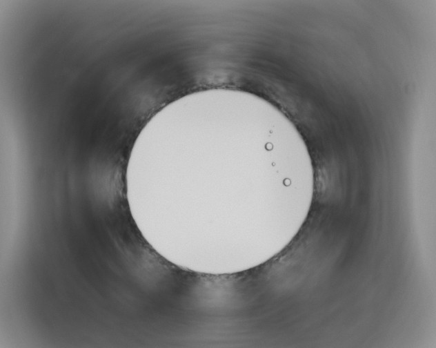 X0000114060820200910050953