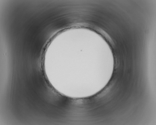 X0000114060828200910050954