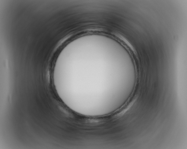 X0000114060829200910050954
