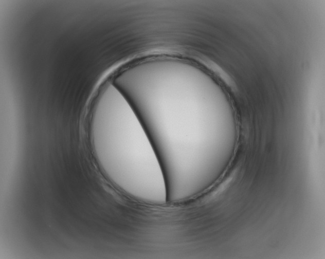 X0000114060830200910050954