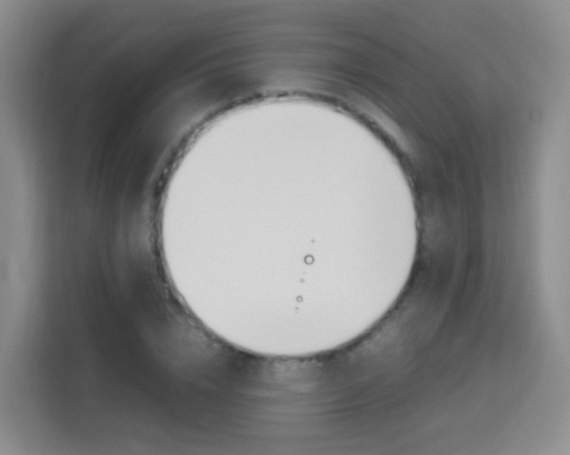 X0000114060832200910050954
