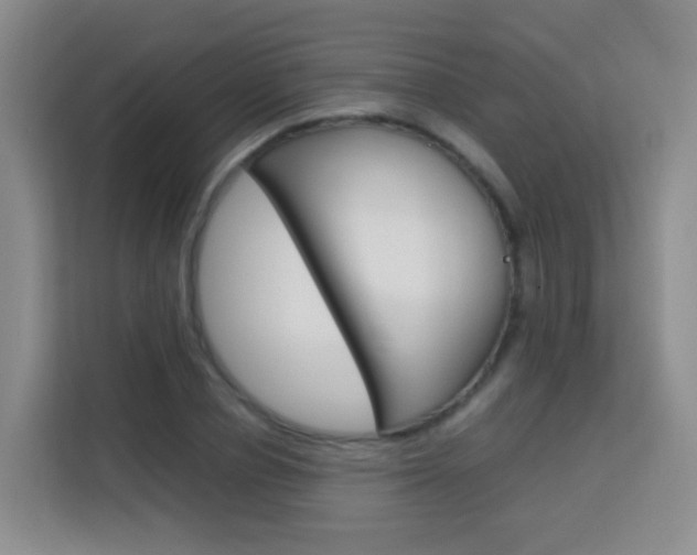 X0000114060834200910050954