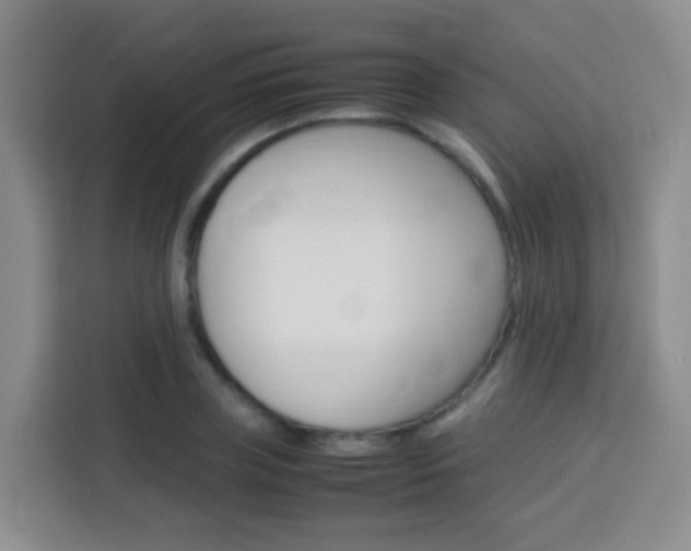 X0000114060835200910050954