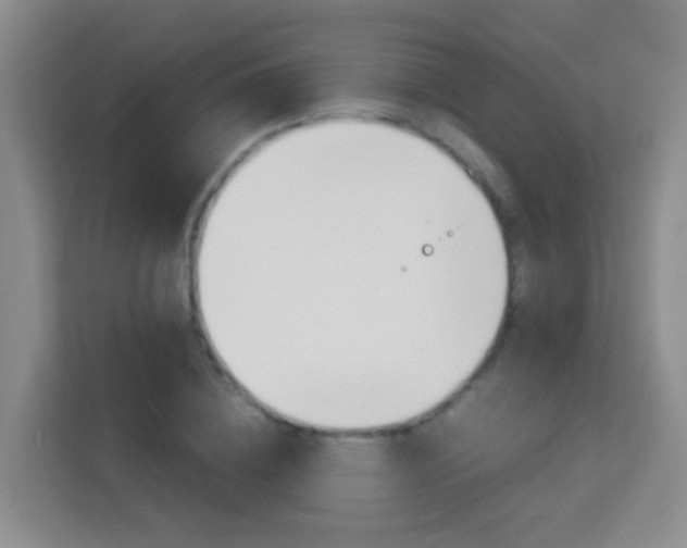 X0000114060836200910050954