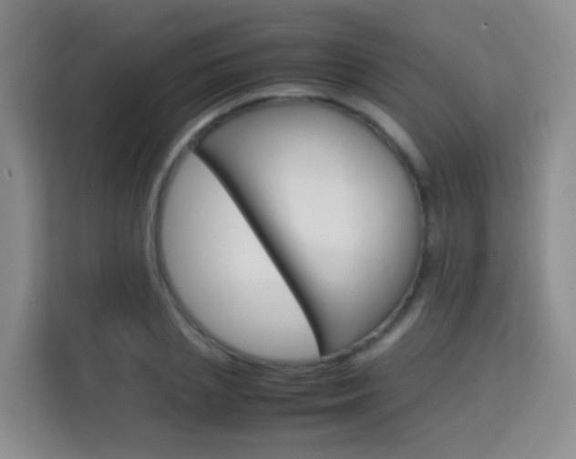 X0000114060837200910050954