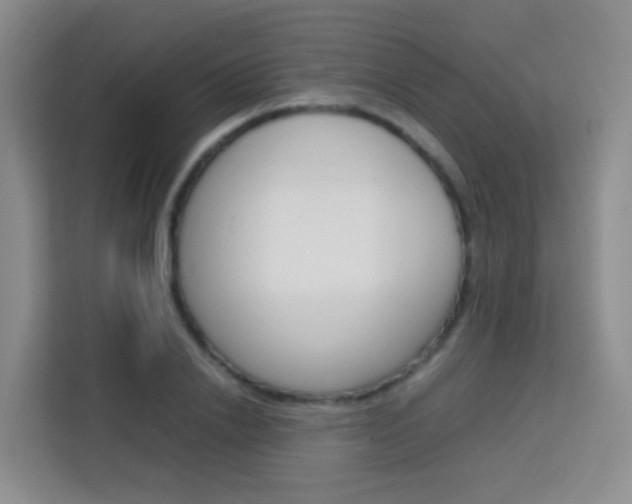 X0000114060838200910050954