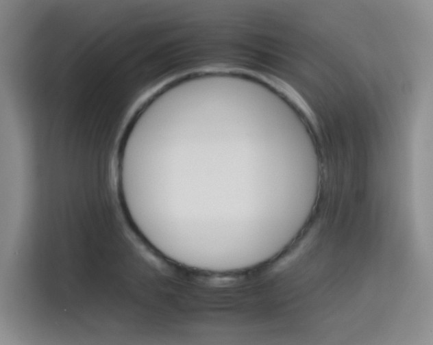 X0000114060839200910050954