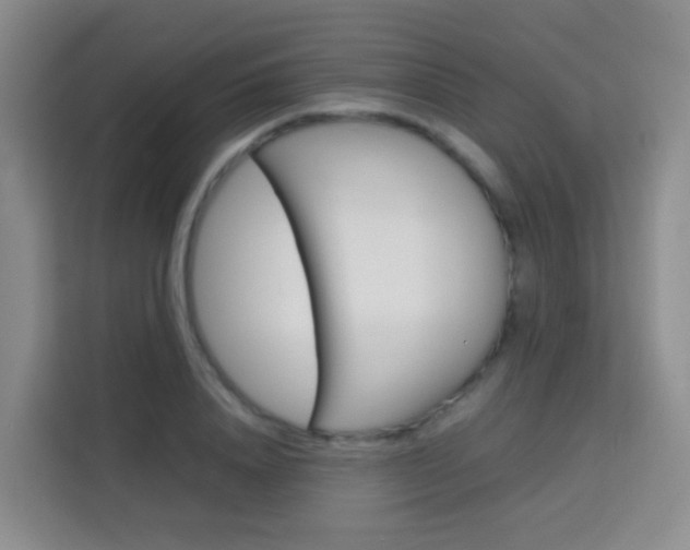 X0000114060840200910050954