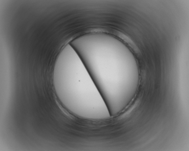 X0000114060841200910050954