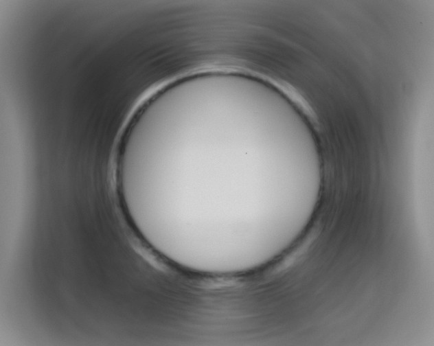 X0000114060846200910050954