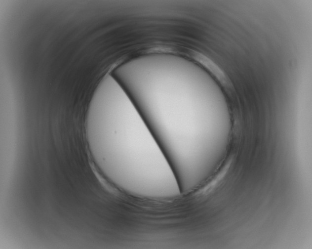 X0000114060849200910050954
