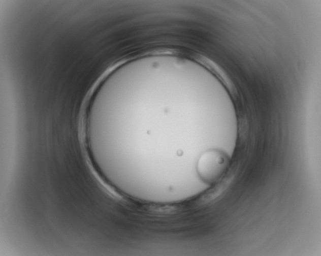X0000114060851200910050954