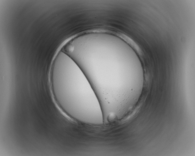 X0000114060855200910050954