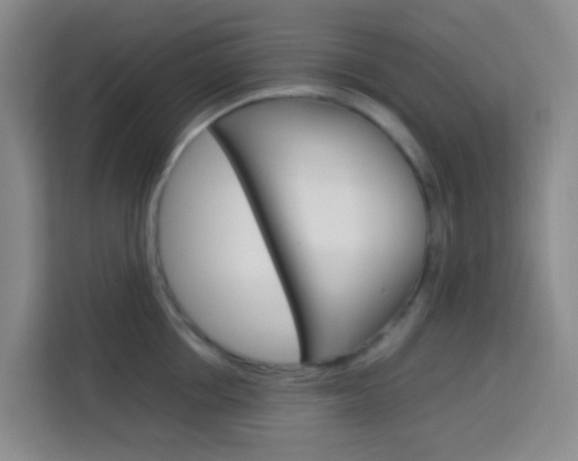 X0000114060858200910050954