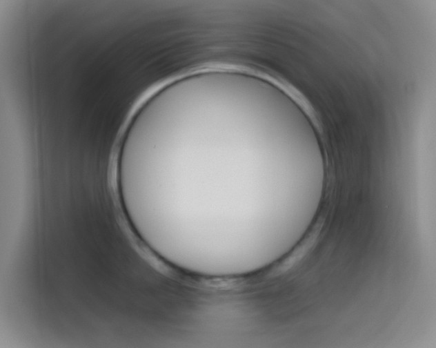 X0000114060862200910050954